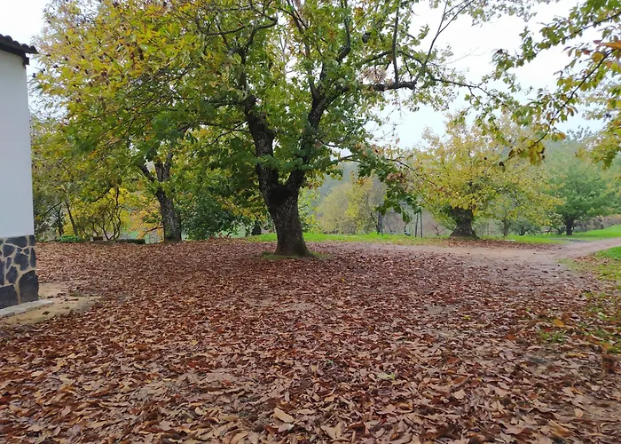Finca El Palomar