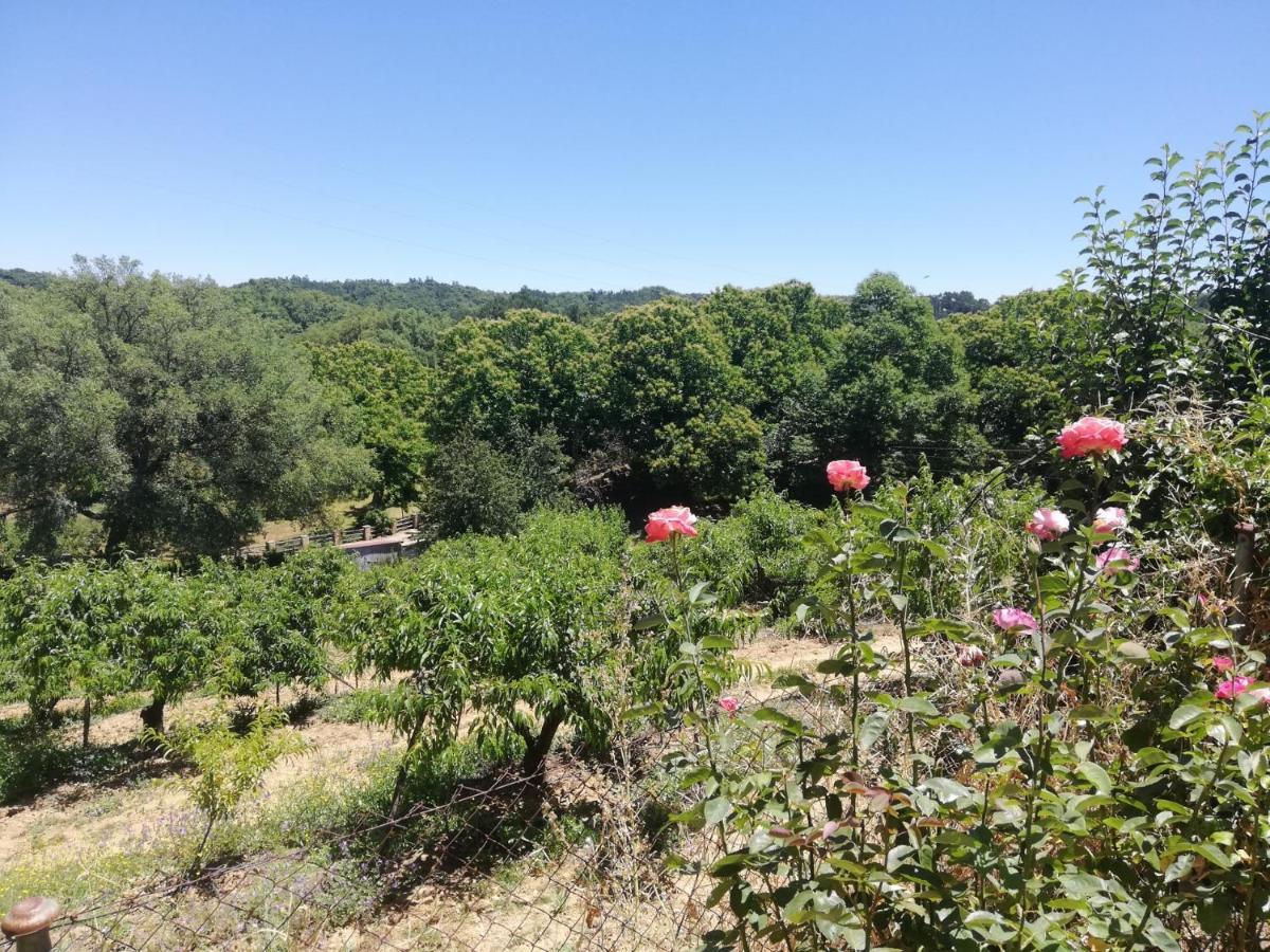 El Palomar * Fuenteheridos