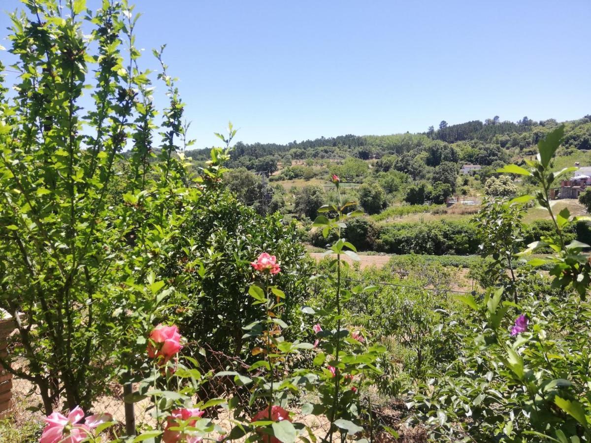 El Palomar * Fuenteheridos