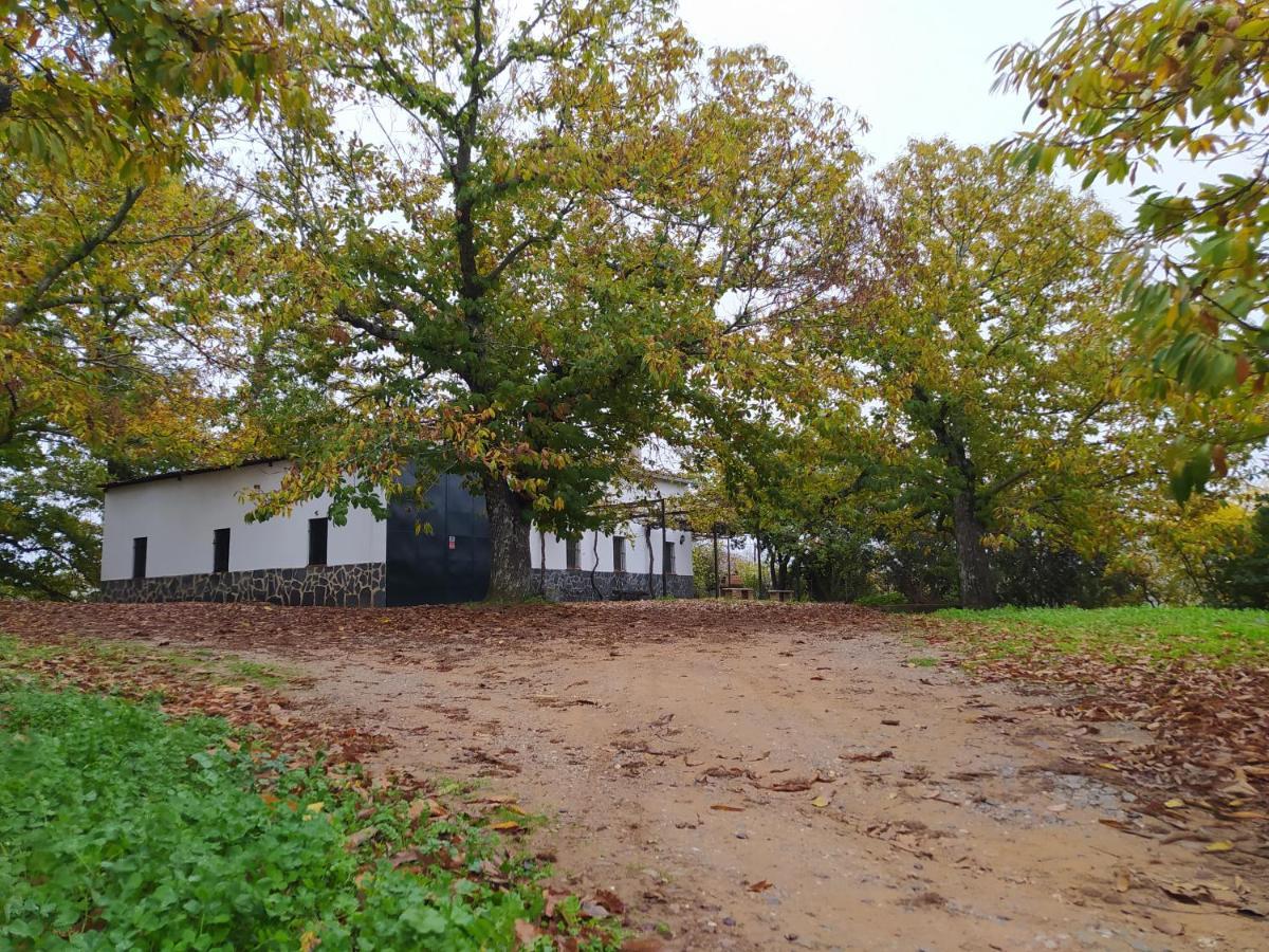 El Palomar Fuenteheridos