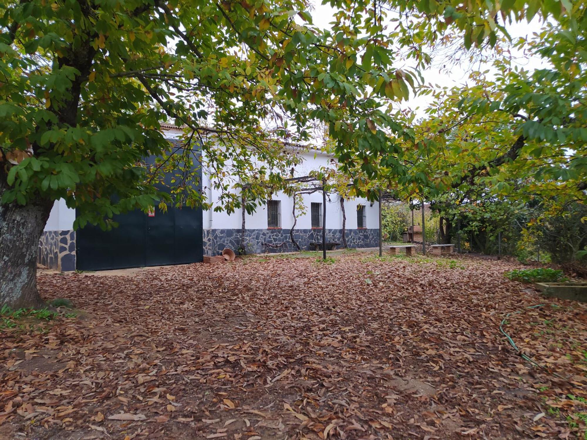 El Palomar Holiday home *